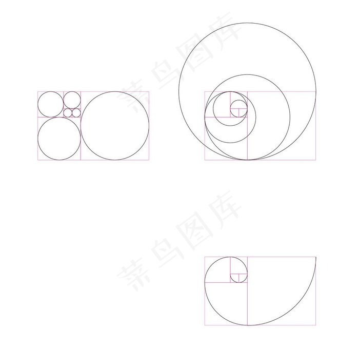 黄金比例黄金分割图片