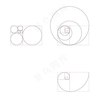 黄金比例黄金分割图片