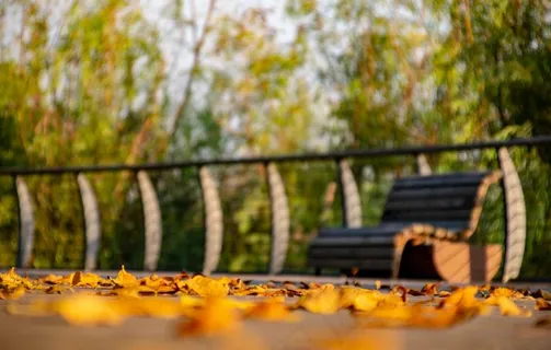 高清风景图图片