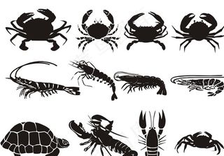 矢量虾兵蟹将图片