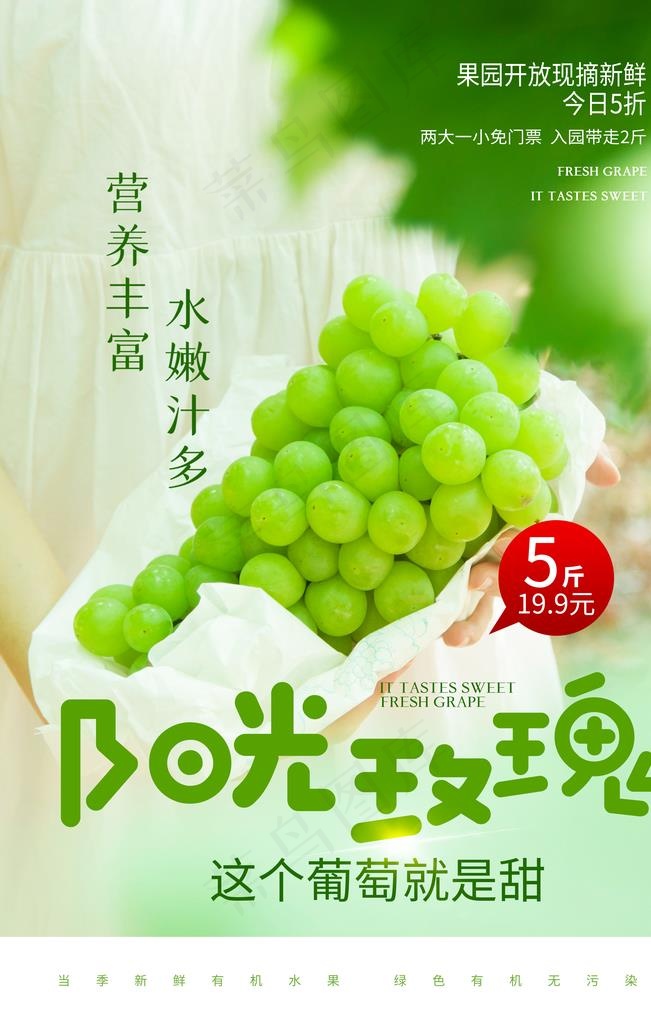 葡萄图片(3543X5315(DPI:150))psd模版下载
