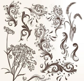 花纹图片