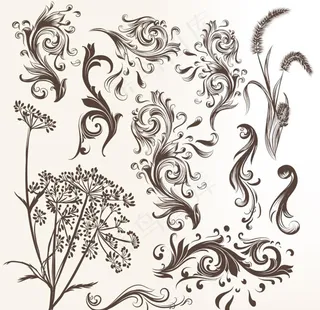 花纹图片