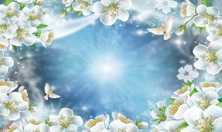 吊顶天花软膜图片