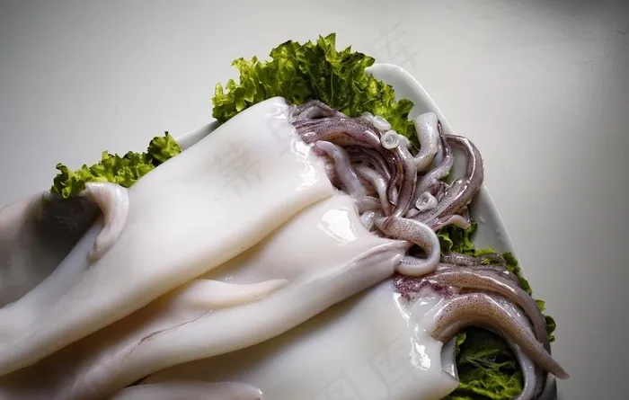 鱿鱼图片