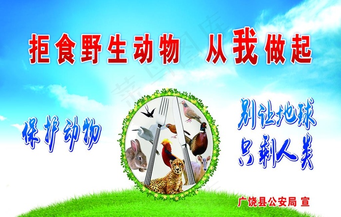 保护动物 保护野生动物图片(4961X3307(DPI:70))psd模版下载