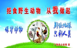 保护动物 保护野生动物图片