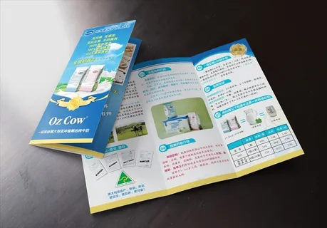 奶粉三折页图片 奶粉三折页图片