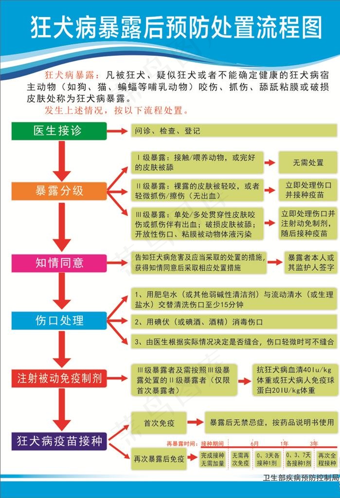 狂犬病暴露后预防处置流程图图片cdr矢量模版下载