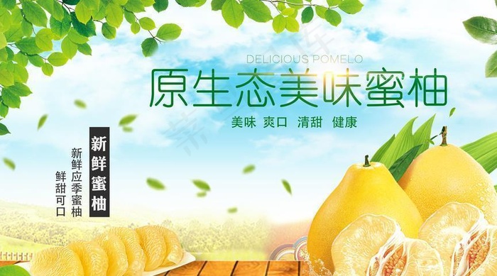 柚子海报图片