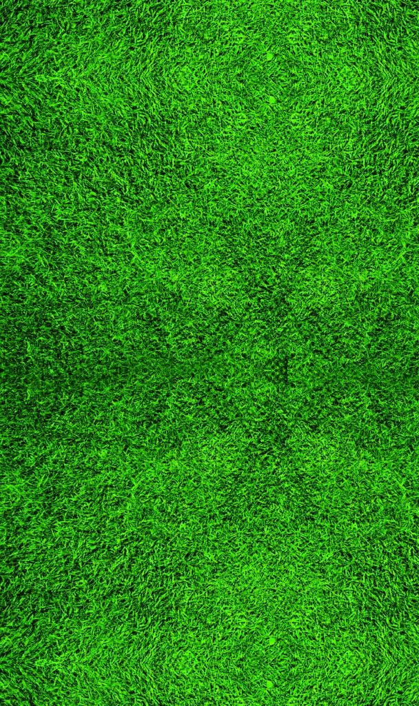 绿植背景图片(2929X4685(DPI:35))psd模版下载