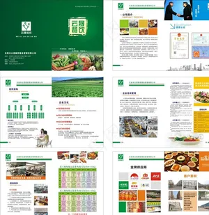 膳食画册 餐饮画册图片