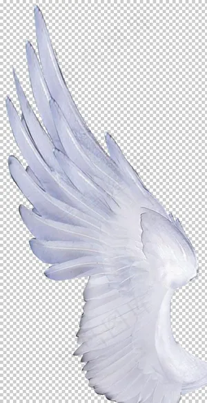 翅膀图案设计图片