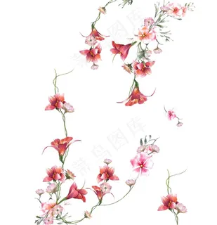 淡雅手绘花图片 淡雅手绘花图片