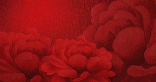 红色牡丹背景图片