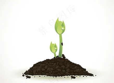 种子发芽图片