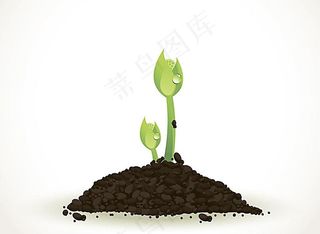 种子发芽图片