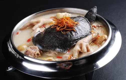 甲鱼煲膳鸡图片 甲鱼煲膳鸡图片