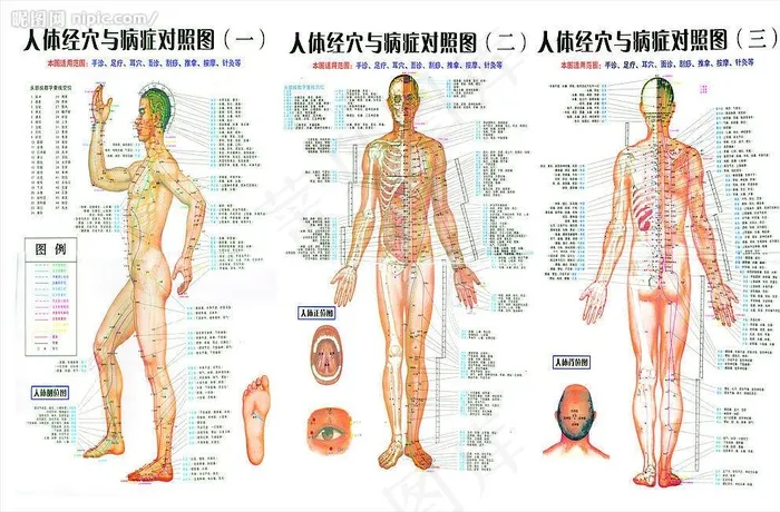 人体经穴与病症对照图（实际像素下非高清）图片