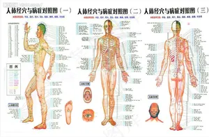 人体经穴与病症对照图（实际像素下非高清）图片