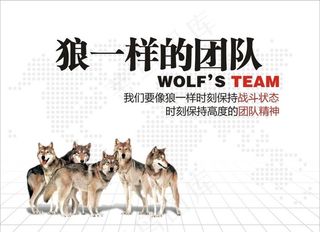 狼团队图片
