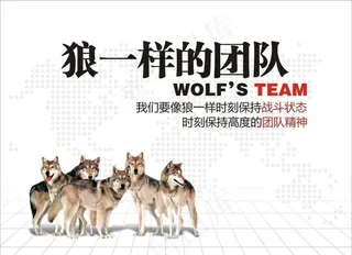 狼团队图片