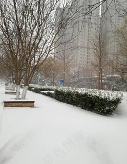 雪景图片 雪景图片