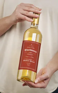 红酒葡萄酒瓶子包装效果图样机图片