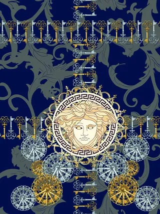 数码印花 大牌 范思哲 钥匙图片