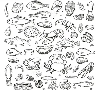 海鲜 矢量图图片
