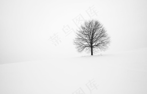 雪地图片