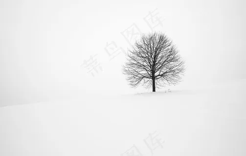 雪地图片 雪地图片