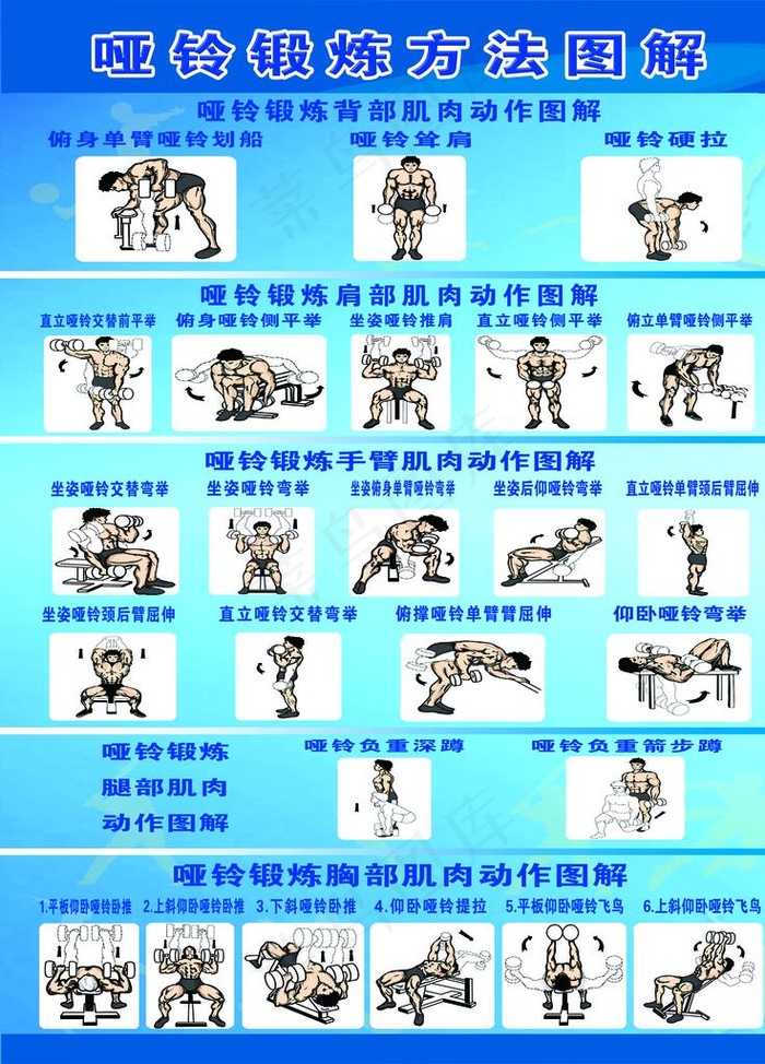 哑铃锻炼方法图片