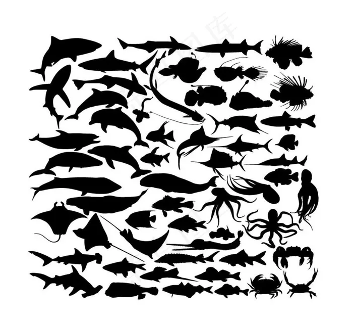 鲨鱼剪影图片ai矢量模版下载