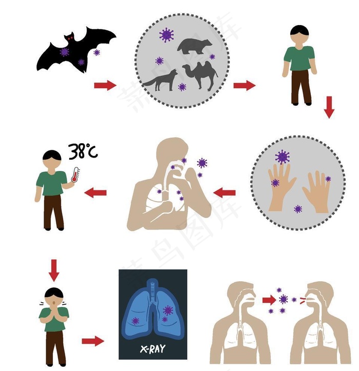 冠状病毒传播途径图片