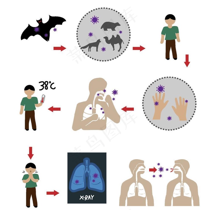 冠状病毒传播途径图片ai矢量模版下载