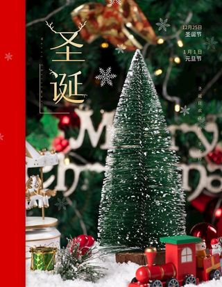 圣诞 圣诞节图片