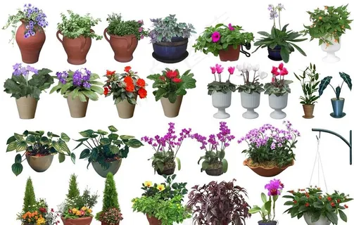 花瓶 花盆图片 花瓶 花盆图片