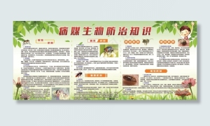 病媒生物防治知识图片