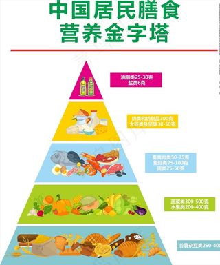膳食金字塔图片