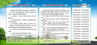 乡镇爱路护路村规民约展板图片