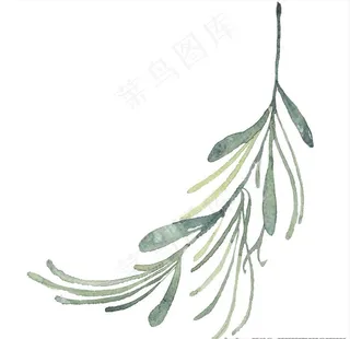 小清新水彩植物树枝图片