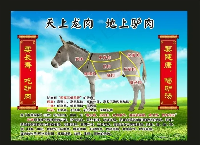 驴分割图图片(210X297)cdr矢量模版下载