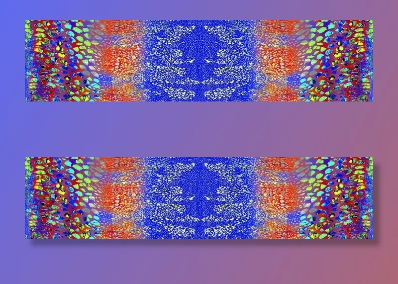 花图片