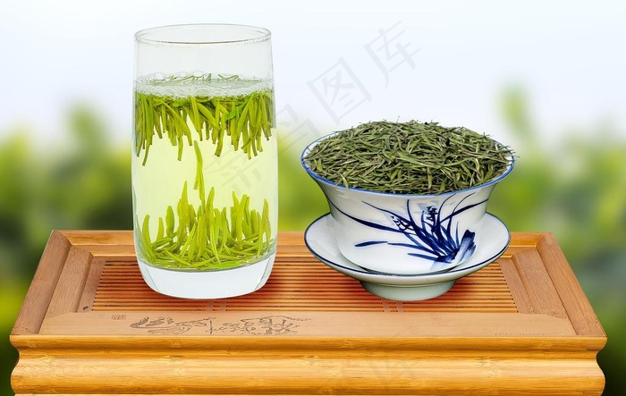 雀舌图片