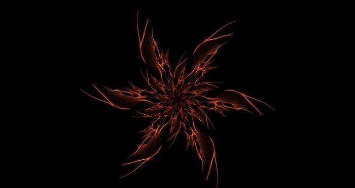 黑底炫彩光影壁纸图片