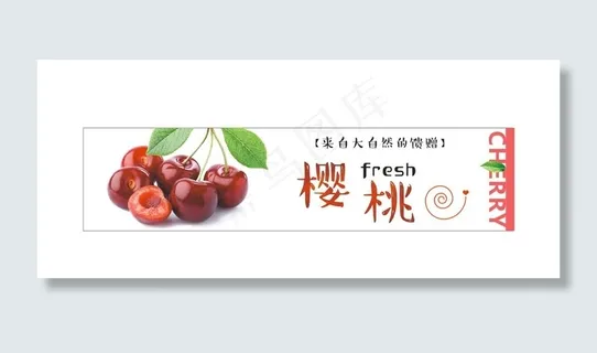 樱桃图片 樱桃图片