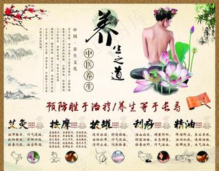 养生之道图片
