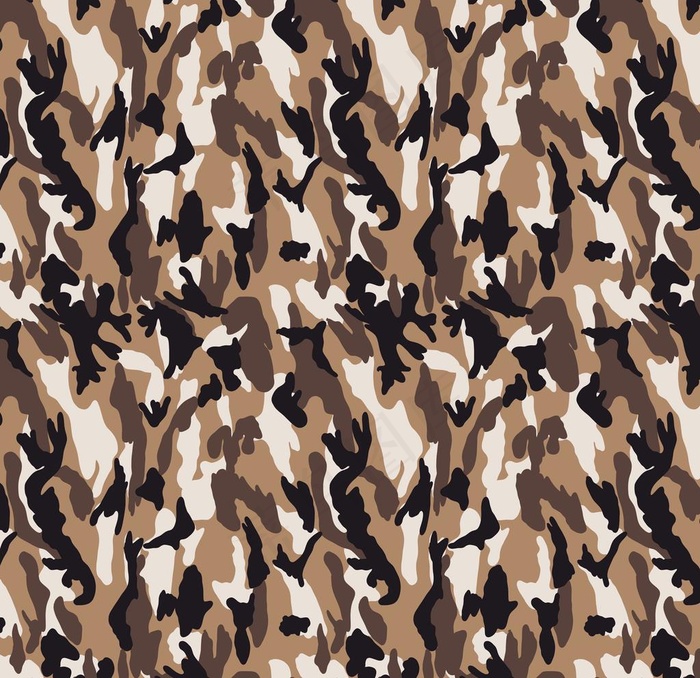 大牌  迷彩图片