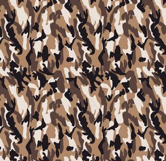 大牌  迷彩图片